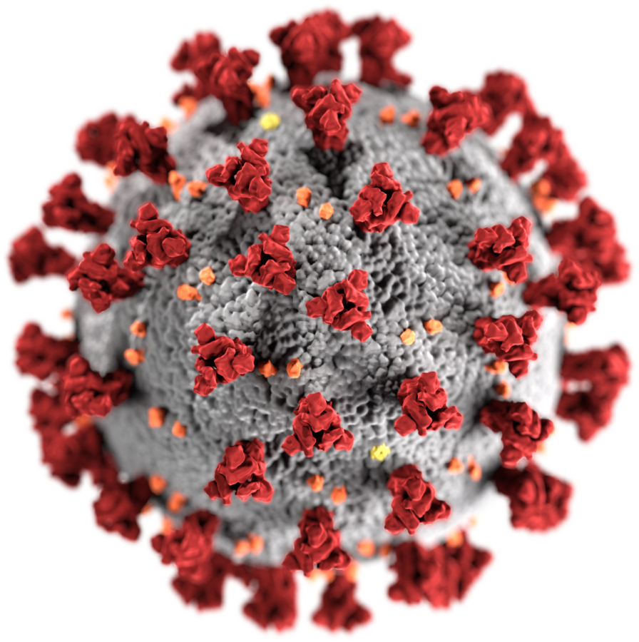An illustration of COVID-19 created by the Center for Disease Control and Prevention (CDC).