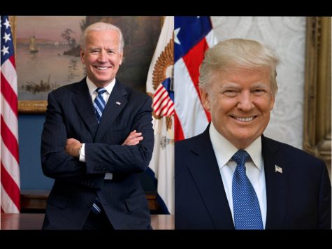 Biden and Trump in their respective government photos.
