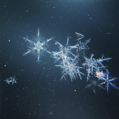 Each snowflake is made up of different features because the water freezes in different structures, making no two flakes alike. Photo taken by Marc Newberry from Unsplash.