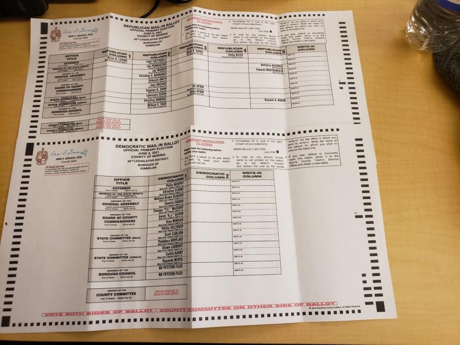 The 2021 Primary Democratic and Republican ballot.