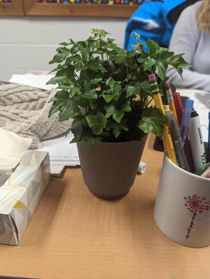 Caitlin Ward receiving a plant from the staff in Kinnelon High School.