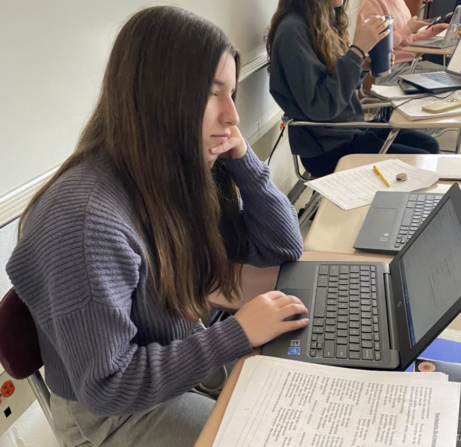 KHS Freshman Sophia Covello does schoolwork in Spanish class.  

