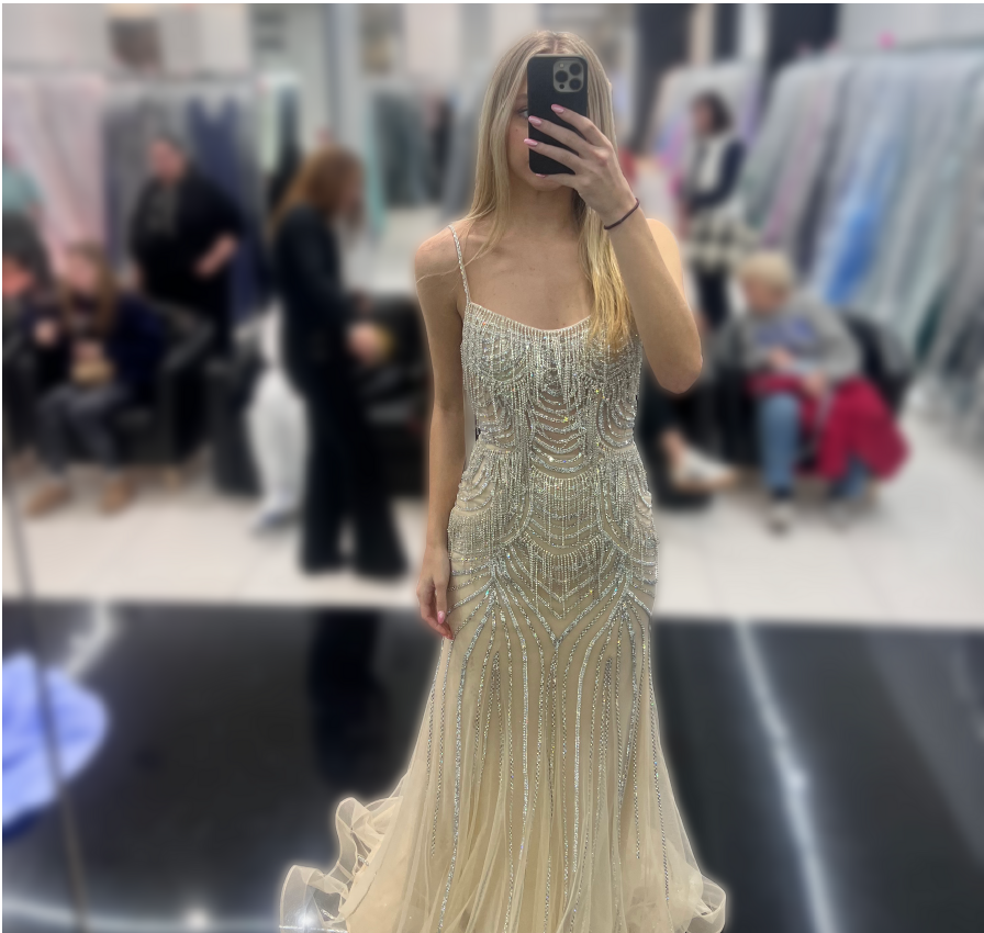 Unveiling the Ultimate Prom Dress Destinations!