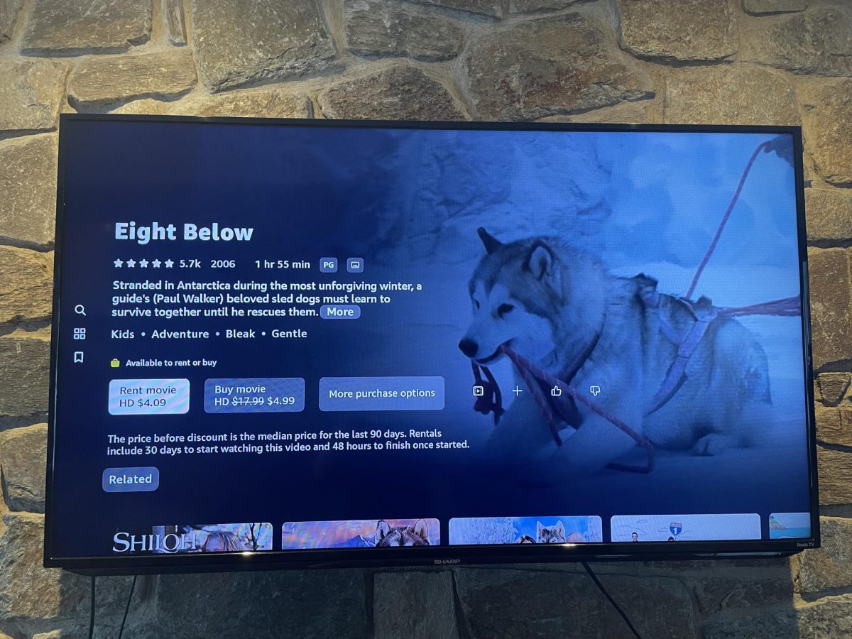 Purchase options for “Eight Below” on Amazon Prime Video.