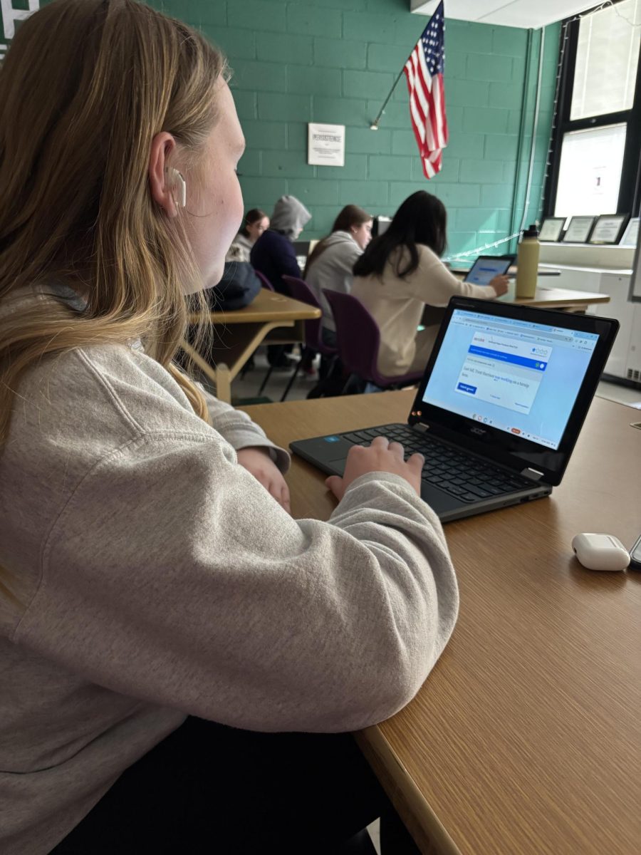 Freshman Suzanna Kurzecki working on classwork in Journalism 1