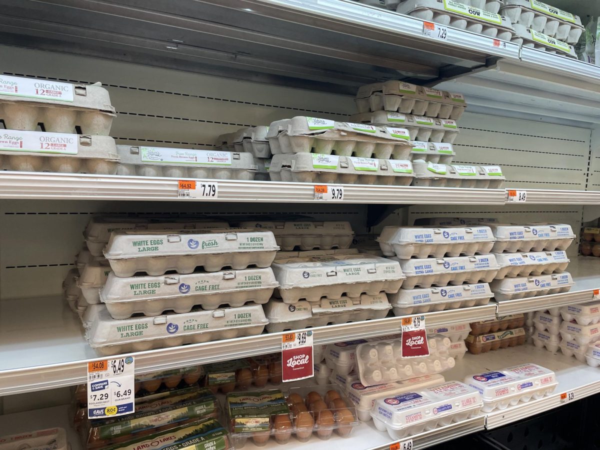 Egg selection and prices at Stop & Shop. (Photo by Samantha Galarosa)