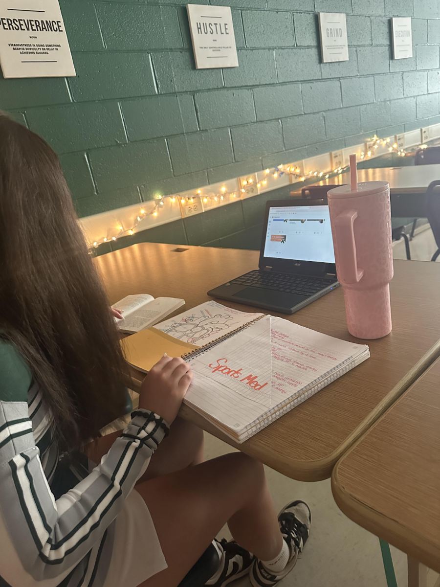Junior Sofia Solensky doing her school work. 
